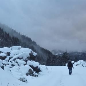 Meet your Posher, Howie